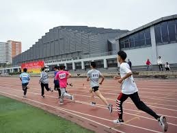 什么是“博彩算法的自适应性”：解析平台如何根据你的输赢自动调整难度系数。（博彩算法的自适应特性解析：平台如何随你的输赢动态调节难度系数）