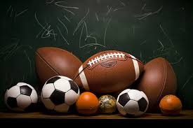 樊振东3-0横扫奥恰洛夫夺胜